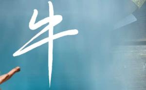 2025年河南成人专升本免考条件(报考指南)