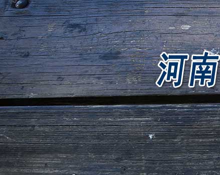 2025年河南省中医药大学成人招生网