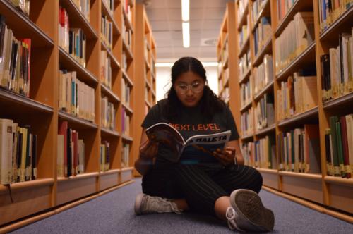 河南省成人高考收费标准是多少啊