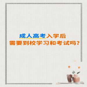 2025年三门峡函授大专哪些专业可以报