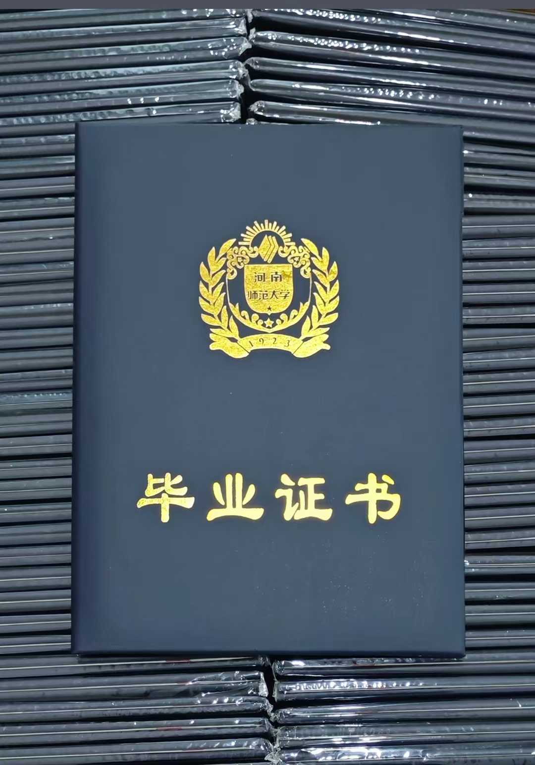 2025年成人高考新乡市历史学